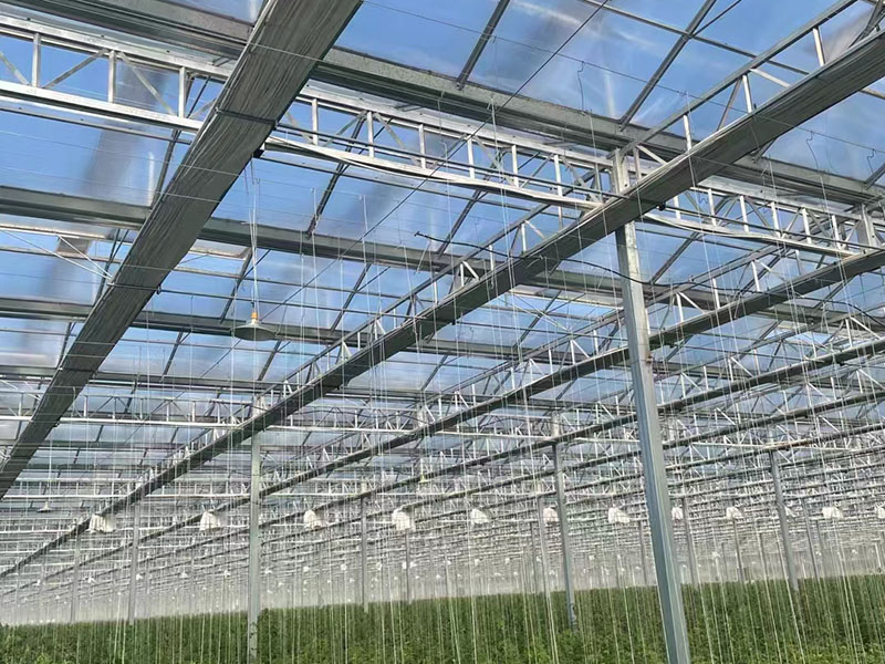 PC陽(yáng)光板溫室